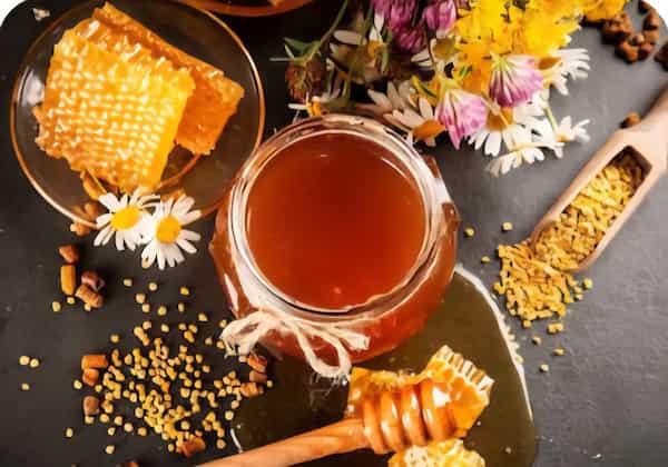 تصویر 5 از خرید عسل سبلان هانیوا + قیمت عالی و باکیفیت